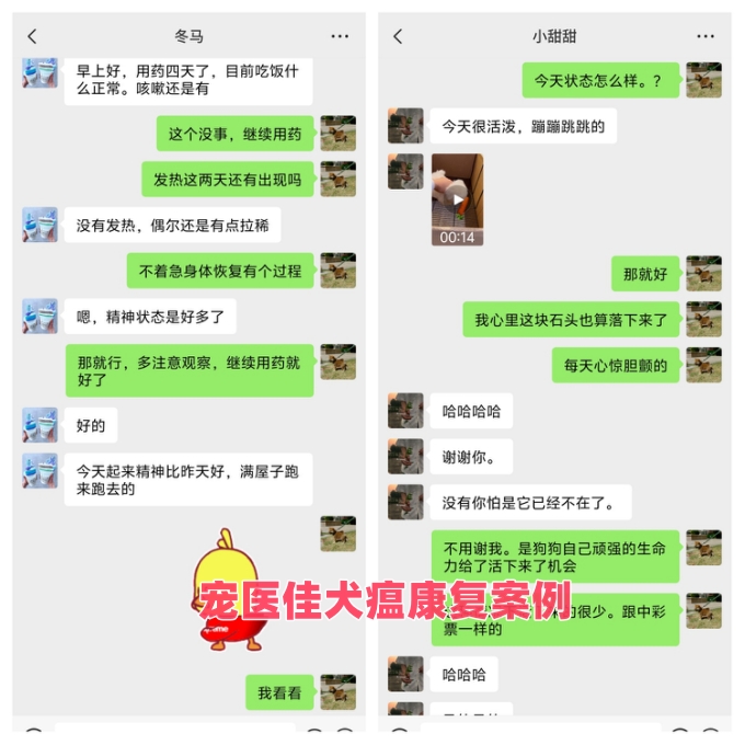 治疗过程
